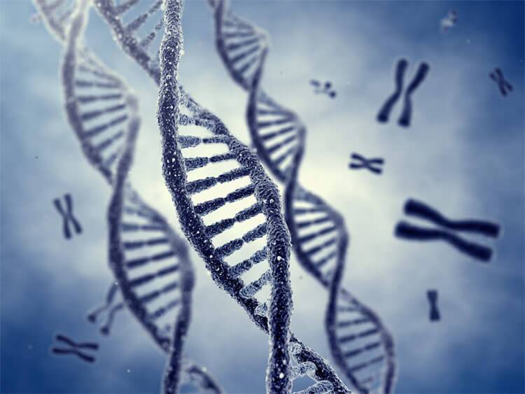 10 억 개의 인간 게놈 2025 미래 타임 라인
