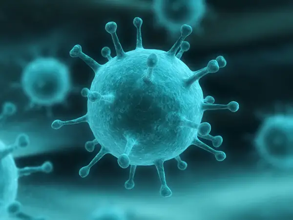 common cold viruses