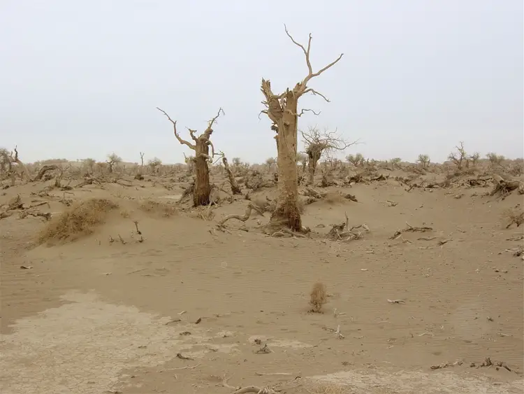 desert climate change global food water shortages 2045 2050