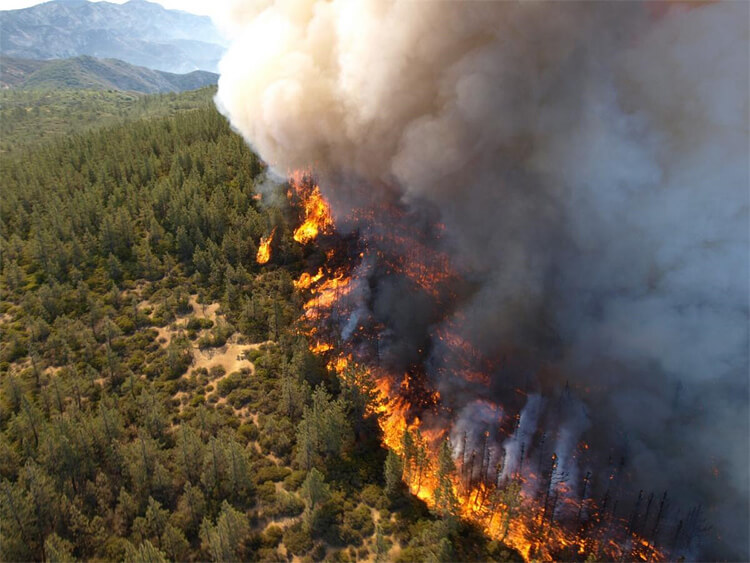 forest fire california climate change insurance crisis future timeline