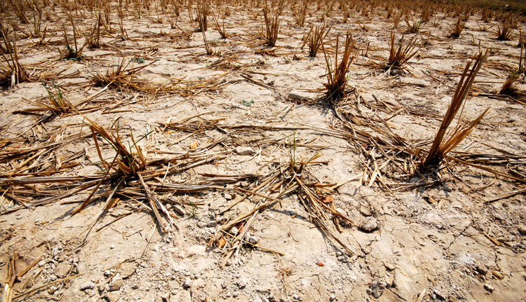 desert climate change global food water shortages 2045 2050