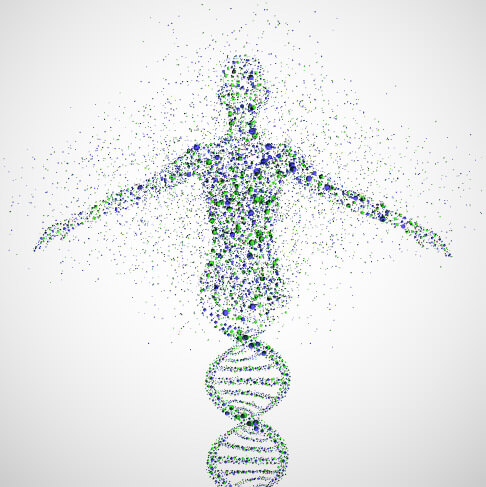 human genome project timeline 2003