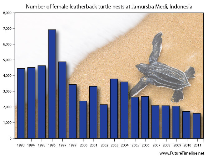Leatherback Turtle Population 2025