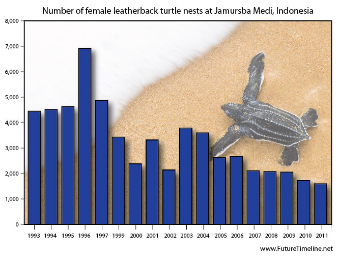 Sea Turtle Population Chart