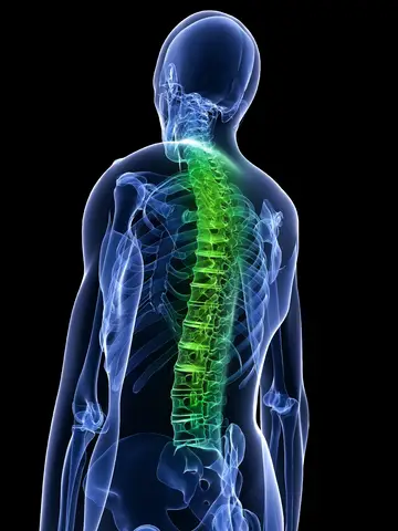 stem cells spinal cord injuries future medicine