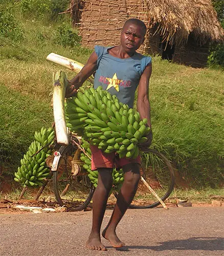 super bananas 2020 africa