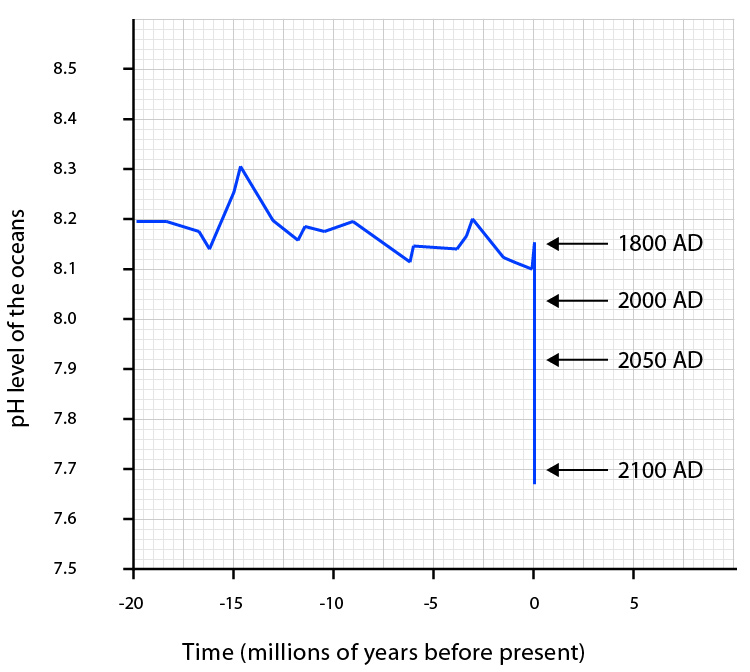 ocean acidification ph levels 2100 future coral reefs carbon dioxide cycle