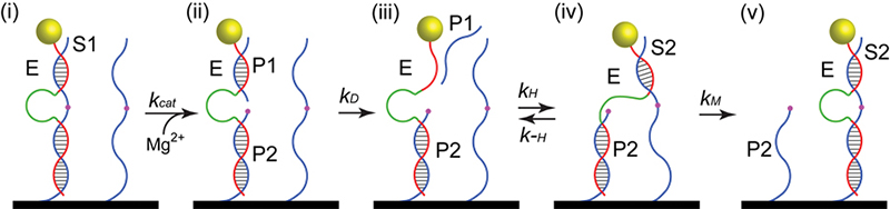 nanotube particle