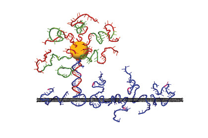 nano motor