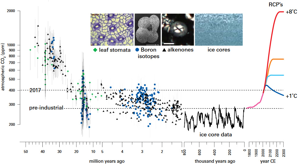 co2 levels future timeline