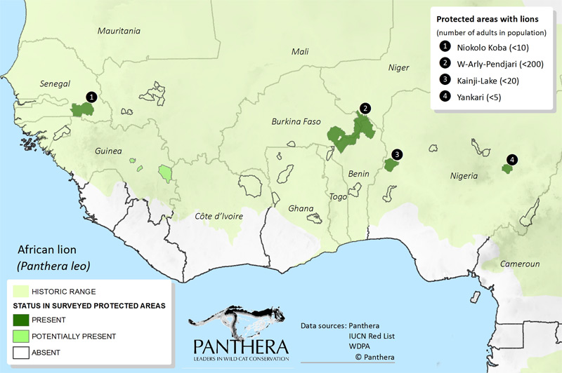 lions population map