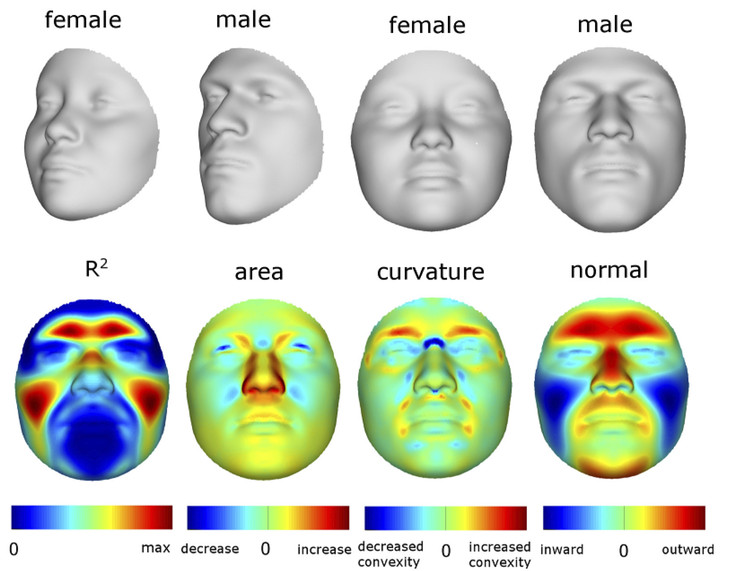 faces