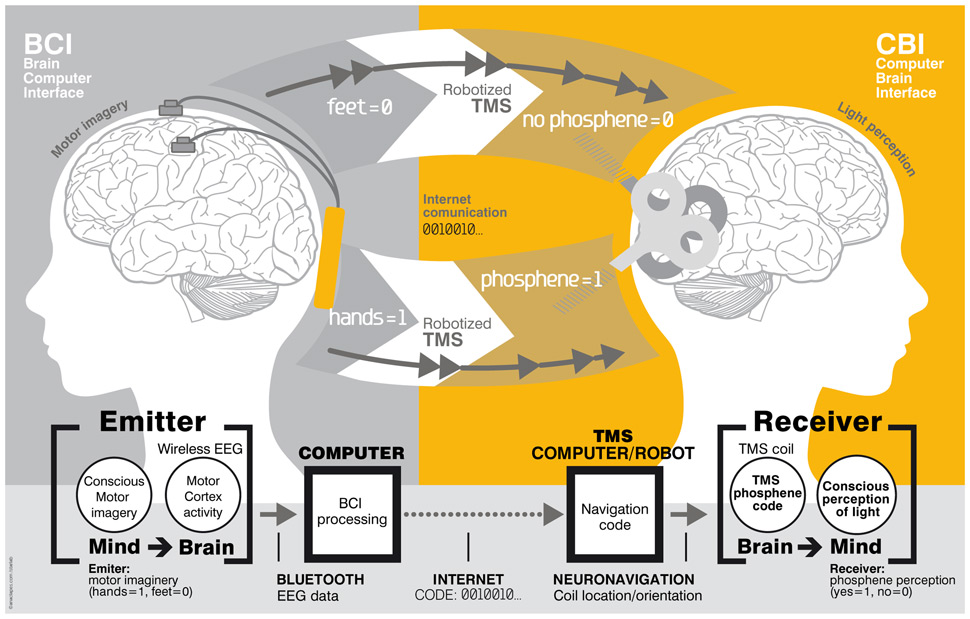 brain to brain communication diagram