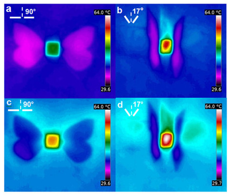 butterfly wings solar