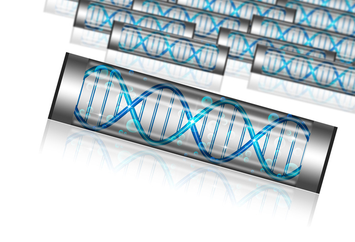 dna samples