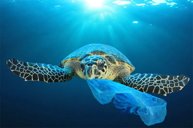 2040 해양 플라스틱 오염 2040