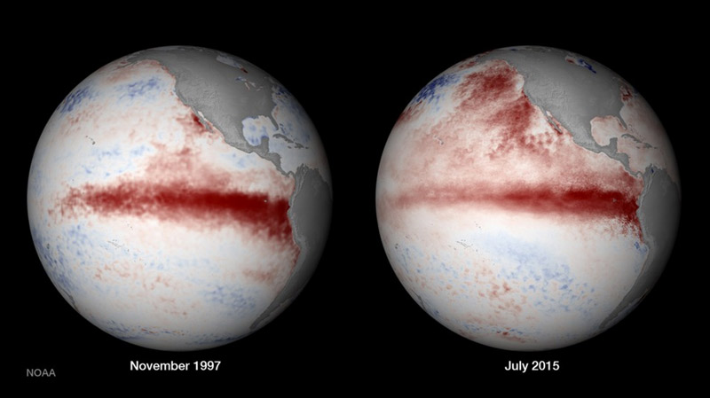 global coral bleaching event 2015