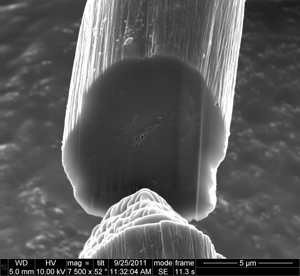 carbon nanotube