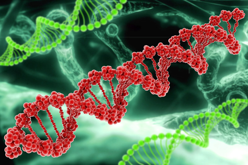 genes for aging lifespan future timeline