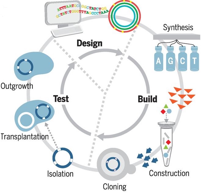 worlds first minimal synthetic bacterial cell