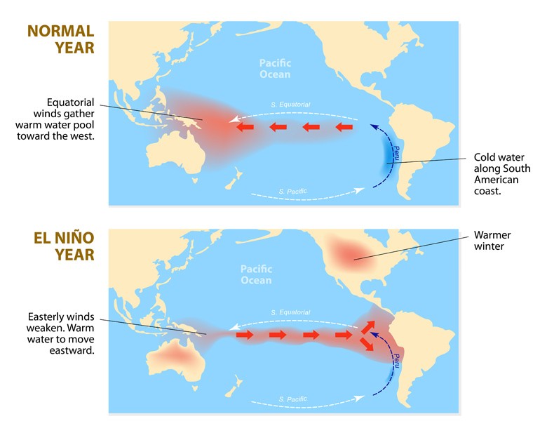 el nino 2015 prediction