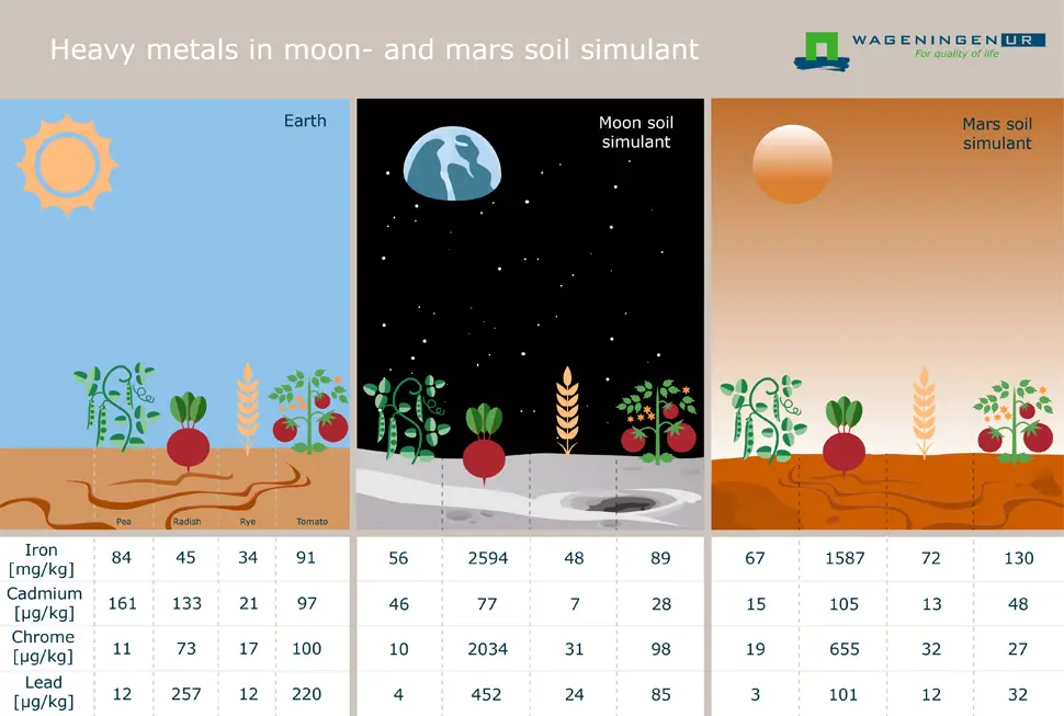mars moon crops