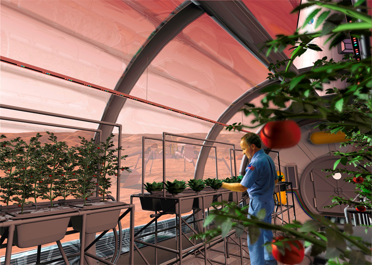 mars future food crops grown