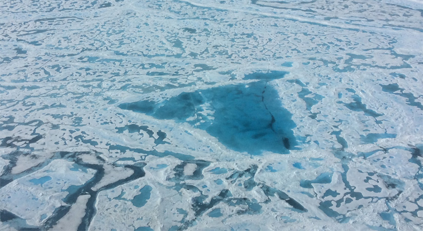 melt pond arctic 2016