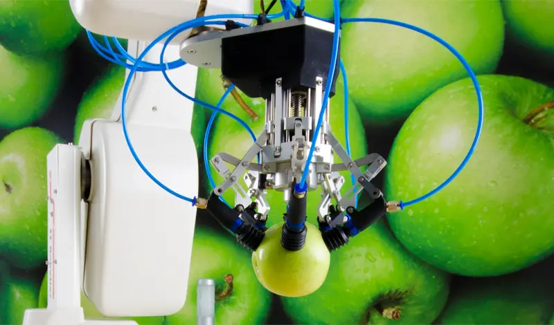 robot fruit picker