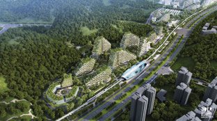 china forest city 2020