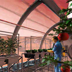 mars future poll