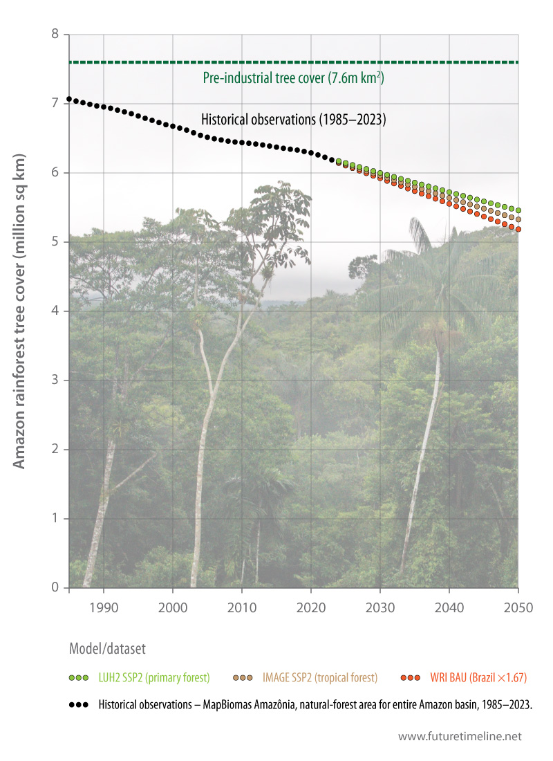 amazon deforestation future 2050