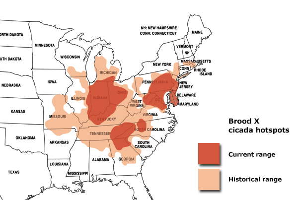 brood x cicada map 2004 2021 2038