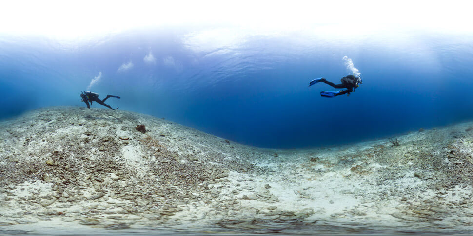 caribbean coral reefs future