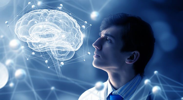 human brain simulation 2025