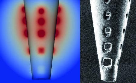 brain circuit nanotechnology tool