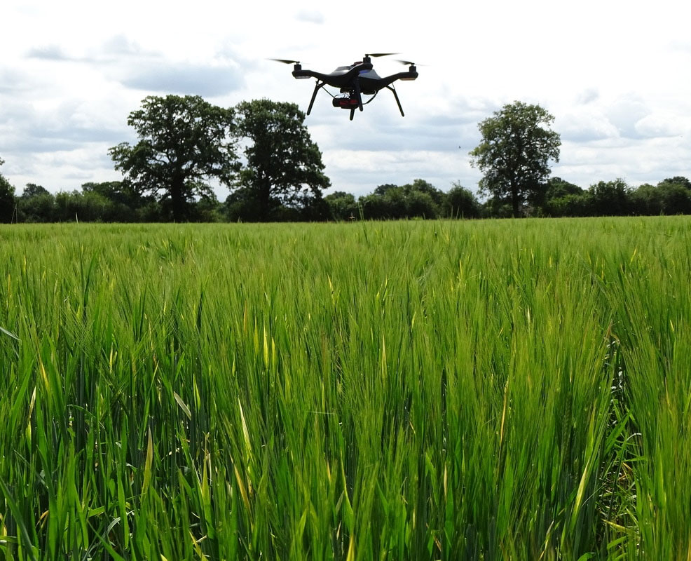 barley grown robot tractor drone uk