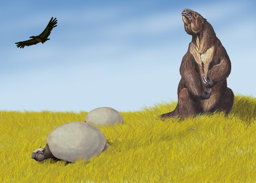 pleistocene megafauna