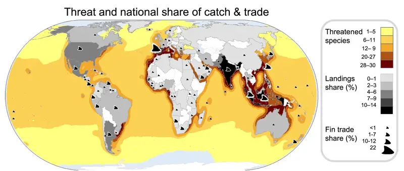 shark ray global fishing map