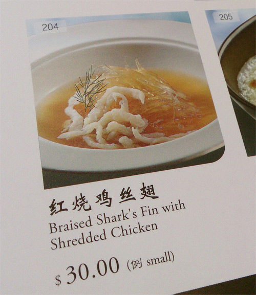 shark fin soup