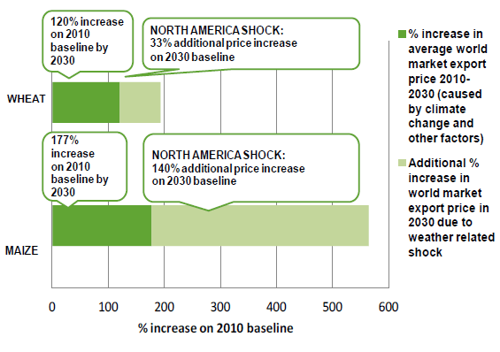 food prices 2010-2030