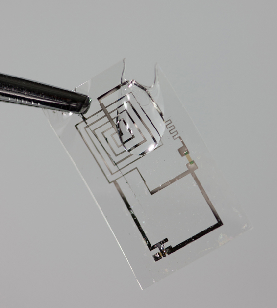 biodegradable electronics