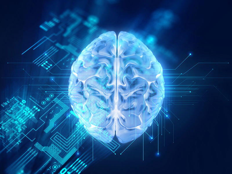 brain scan algorithm future technology timeline