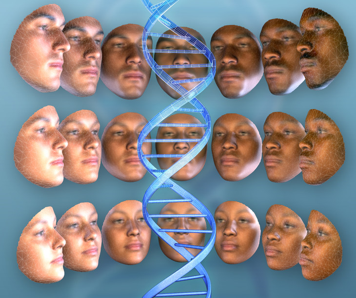 dna faces