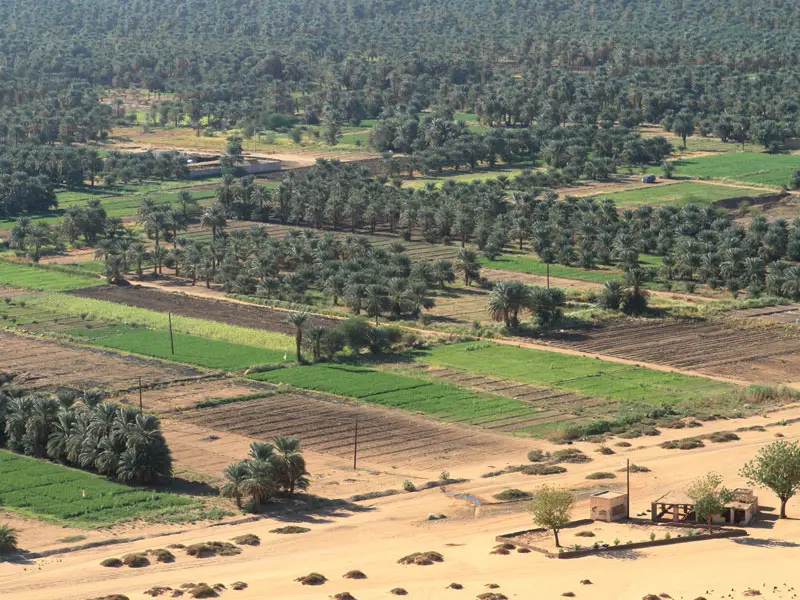 sahara desert greening future timeline