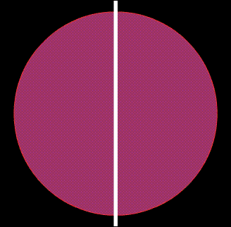 Beta Pictoris b