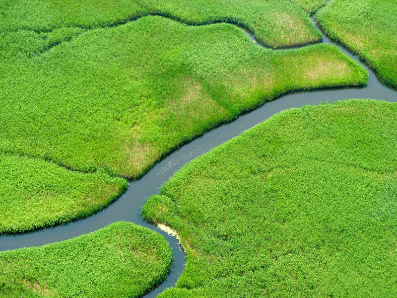 wetlands