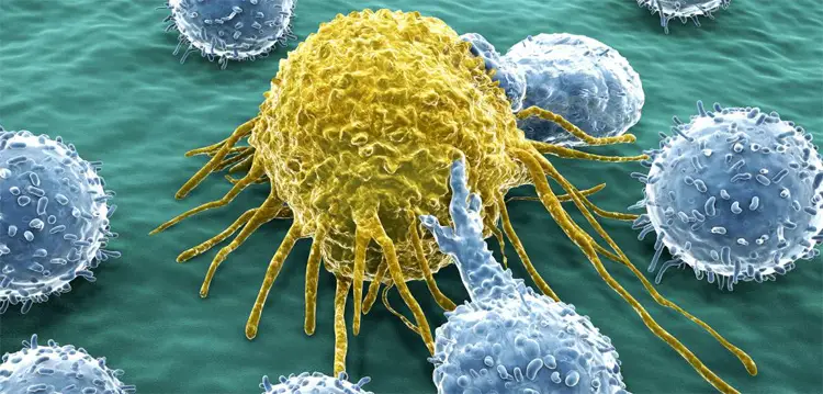 cancer stem cells