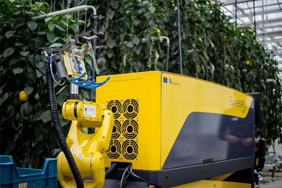 Pepper Harvesting Robot Could Enter Commercial Use Within Five Years