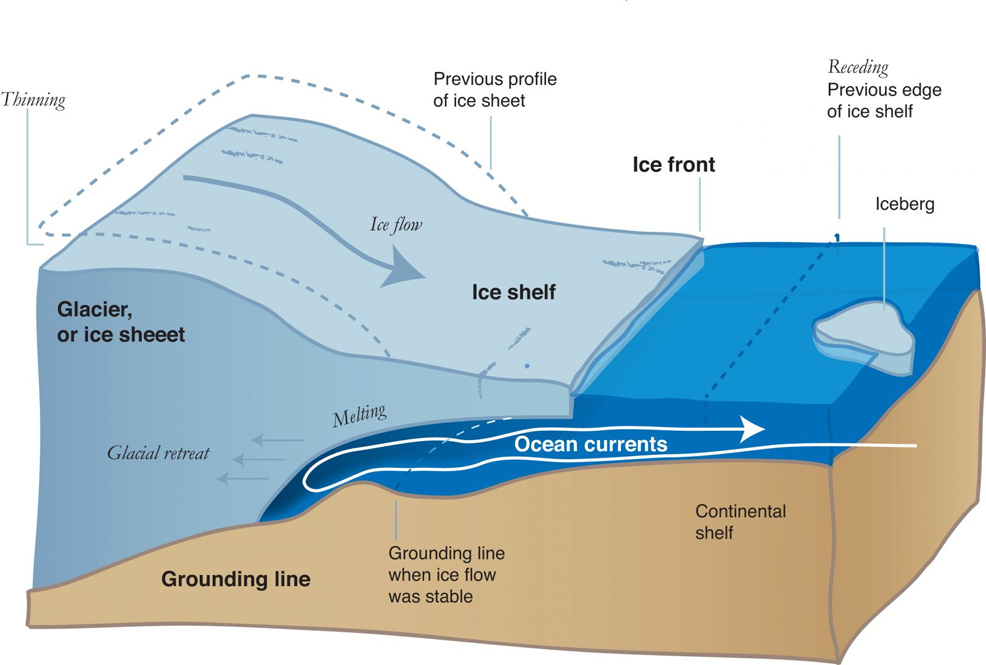 antarctic melting ice future timeline
